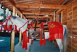 A gray horse wearing a saddle and bridle with crimson tassles.
