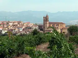 Panoramic view of Elciego from a row of vines.