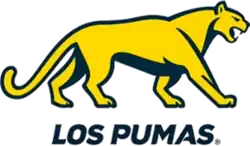 Shirt badge/Association crest