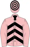 Pink, black chevrons on body, hooped cap