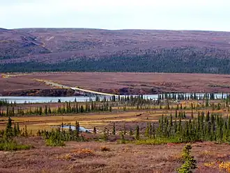 The Susitna River bridge on the Denali Highway is 1,036 feet (316&nbsp;m) long.